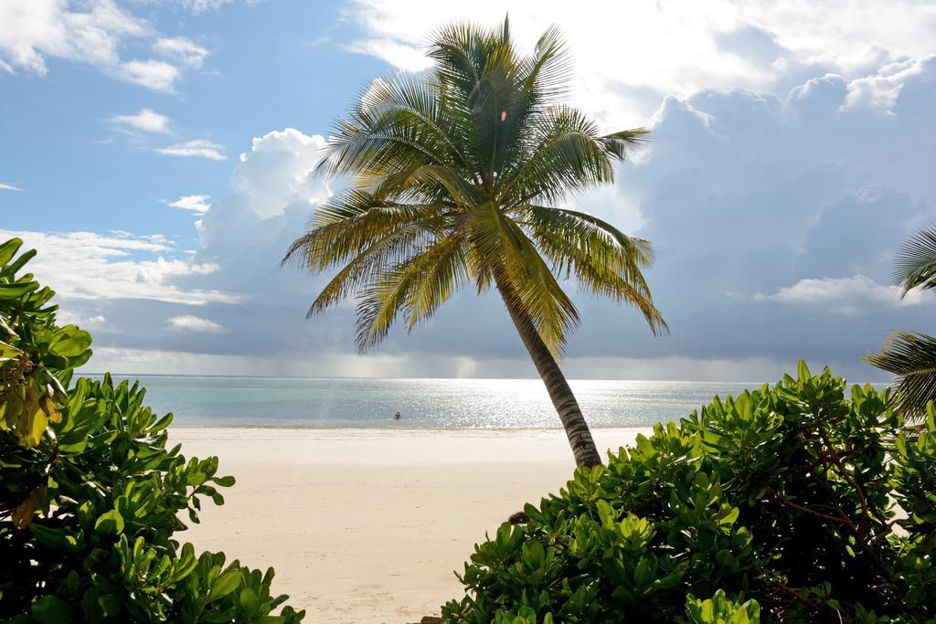 ホテル Hodi Hodi Zanzibar プワニ・チャンガーニ エクステリア 写真